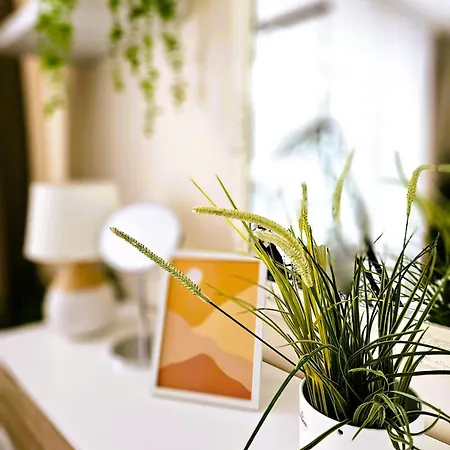 Cofy - Centrally Located, Quiet District, Air-conditioning, Free Parking, 24-7 Express Check-in-out, Close To Sea And Everything Need For Living! Apartment *