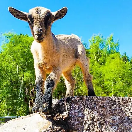 Lejlighed Cofy - Centrally Located, Quiet District, Air-conditioning, Free Parking, 24-7 Express Check-in-out, Close To Sea And Everything Need For Living!