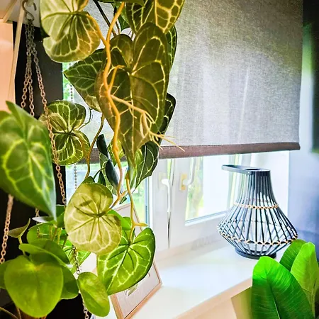 Cofy - Quiet Location, Air-conditioning, Free Parking, 24-7 Check-in-out With Prepaid Nighttime Check-in, Early Check-in, Late Check-out! * タリン