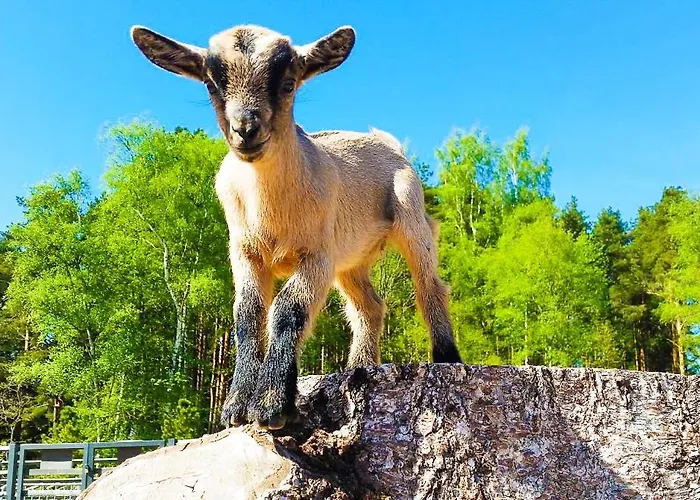 Apartment Cofy - Centrally Located, Quiet District, Air-conditioning, Free Parking, 24-7 Express Check-in-out, Close To Sea And Everything Need For Living!