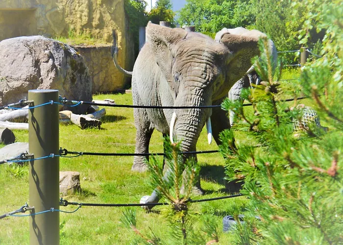 Appartement Cofy - Centrally Located, Quiet District, Air-conditioning, Free Parking, 24-7 Express Check-in-out, Close To Sea And Everything Need For Living! Tallinn