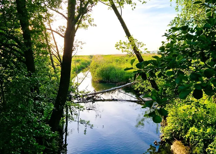 Cofy - Centrally Located, Quiet District, Air-conditioning, Free Parking, 24-7 Express Check-in-out, Close To Sea And Everything Need For Living!