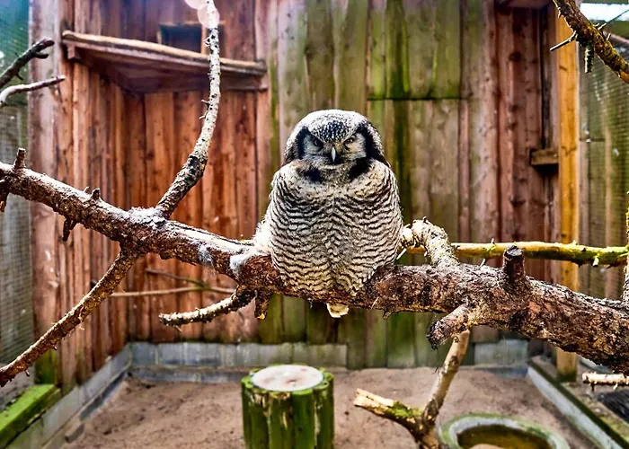 Appartement Cofy - Centrally Located, Quiet District, Air-conditioning, Free Parking, 24-7 Express Check-in-out, Close To Sea And Everything Need For Living! Tallinn