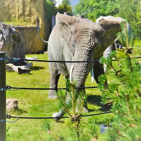 アパート Cofy - Centrally Located, Quiet District, Air-conditioning, Free Parking, 24-7 Express Check-in-out, Close To Sea And Everything Need For Living! タリン